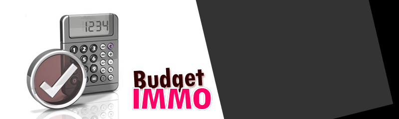 Budget immobilier